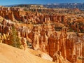 The Bryce Canyon National Park, Utah