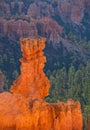 Bryce Canyon National Park, Utah Southwest USA Royalty Free Stock Photo