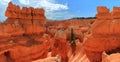 Bryce Canyon National Park Landscape Panorama of Hoodoos along Queens Garden Trail near Sunrise Point, Utah, USA Royalty Free Stock Photo