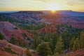 Bryce Canyon National Park Utah sunrise summer spring with long view and pine trees
