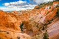 Bryce Canyon National Park, Utah, USA Royalty Free Stock Photo