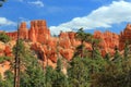 Bryce Canyon National Park with Queens Garden Hoodoos, Utah, USA Royalty Free Stock Photo