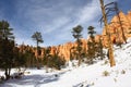Bryce Canyon National park in winter, Utah, USA Royalty Free Stock Photo