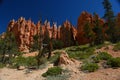 Bryce Canyon Natl Park Royalty Free Stock Photo