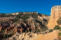 Bryce Canyon - Old tree Bristlecone Pine (Pinus longaeva) with panoramic on sandstone rock formations in Bryce Canyon, USA