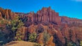 Bryce Canyon - Old tree Bristlecone Pine (Pinus longaeva) with panoramic on sandstone rock formations in Bryce Canyon, USA