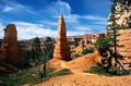 Bryce Canyon : orange peak and panorama Royalty Free Stock Photo