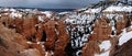 Bryce canyon panorama in overcast winter day with brown rocks and snow