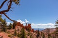 Bryce Canyon - Panoramic Fairyland hiking trail with scenic view on massive hoodoo wall sandstone rock formation in Utah, USA Royalty Free Stock Photo