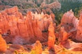 Bryce Canyon - Panoramic morning sunrise view on sandstone rock formation of Thor hammer in Bryce Canyon National Park, Utah,