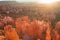 Bryce Canyon - Panoramic morning sunrise view on sandstone rock formation of Thor hammer in Bryce Canyon National Park, Utah,