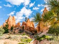 Bryce Canyon National Park Queen`s Garden Trail Rock Formations