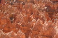 Bryce Canyon rock formations Royalty Free Stock Photo