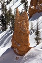 Bryce Canyon Rock in the Snow Royalty Free Stock Photo
