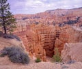 Bryce Canyon in the spring Royalty Free Stock Photo