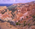 Bryce Canyon in the spring Royalty Free Stock Photo