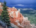 Bryce Canyon in the spring Royalty Free Stock Photo