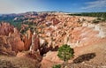 Bryce canyon, sunrise point, Utah Royalty Free Stock Photo