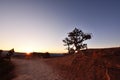 Bryce Canyon Sunrise Royalty Free Stock Photo