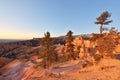 Bryce Canyon Sunrise Royalty Free Stock Photo