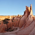 Bryce Canyon Sunrise Royalty Free Stock Photo