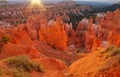 Bryce Canyon sunrise Royalty Free Stock Photo
