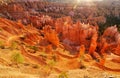 Bryce Canyon sunrise Royalty Free Stock Photo