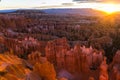 The bryce canyon at sunrise in Utah, USA Royalty Free Stock Photo