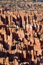 Bryce canyon, Sunset point, Utah Royalty Free Stock Photo