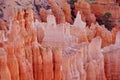 Bryce Canyon views from the top Utah, USA Royalty Free Stock Photo