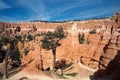 Bryce Canyon : tree, footpath and panorama Royalty Free Stock Photo