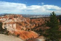 Bryce Canyon with a tree in the foreground Royalty Free Stock Photo