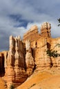 Bryce canyon, ut Royalty Free Stock Photo