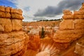 Bryce canyon, ut Royalty Free Stock Photo