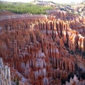 Bryce canyon, Utah, USA Royalty Free Stock Photo