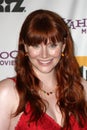 Bryce Dallas Howard Royalty Free Stock Photo