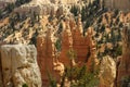 Bryce Hoodoos Royalty Free Stock Photo