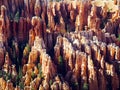 Bryce Hoodoos