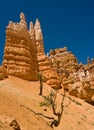 Bryce Hoodoos Royalty Free Stock Photo