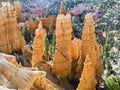 Bryce Hoodoos Standing Tall