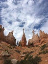 Bryce National Park