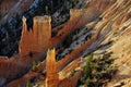 Bryce National Park Radiant Rocks & Hoodoos