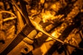 Steering wheel on an old truck at Bryce in Utah on November 5, 2009