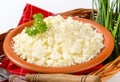 Bryndza cheese and chives Royalty Free Stock Photo