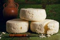 Brynza cheese Royalty Free Stock Photo