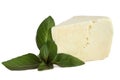 Brynza cheese with basil Royalty Free Stock Photo