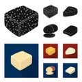Brynza, smoked, colby jack, pepper jack.Different types of cheese set collection icons in black, flat style vector