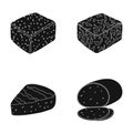 Brynza, smoked, colby jack, pepper jack.Different types of cheese set collection icons in black style vector symbol