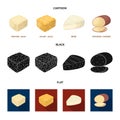 Brynza, smoked, colby jack, pepper jack.Different types of cheese set collection icons in cartoon,black,flat style