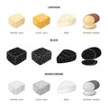 Brynza, smoked, colby jack, pepper jack.Different types of cheese set collection icons in cartoon,black,monochrome style